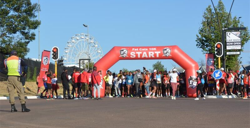 Runners make their way through the course during a previous Fat Cats 10K Race. Photo: Supplied