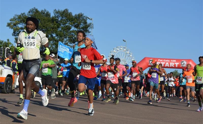 Runners take on the course during a previous edition of the Fat Cats 10K Race. Photo: Supplied