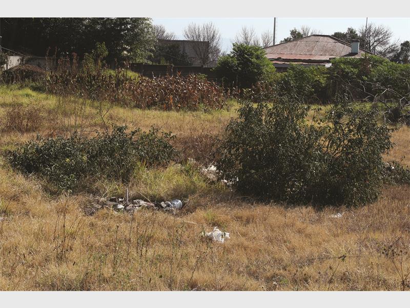 Overgrowth