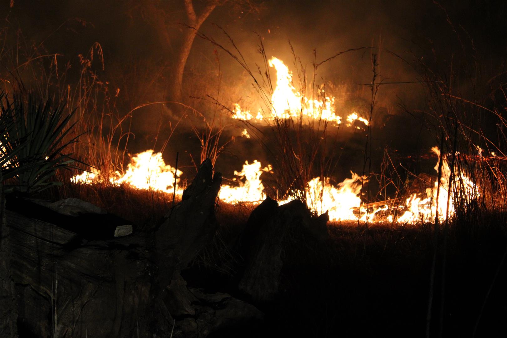 Ladysmith KZN Wildfire causes water shortage in Observation Hill