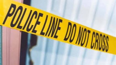 D96 farm attack