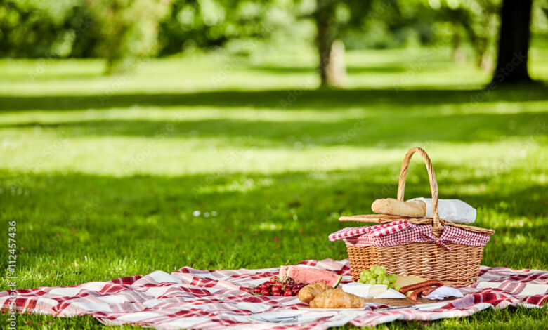 picnic