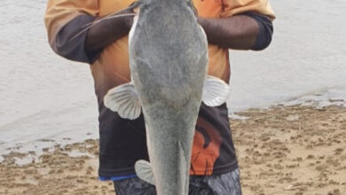 Itec Freespool wins big in closed angling competition