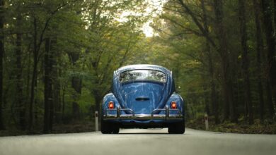 10 Tips for a safe road trip