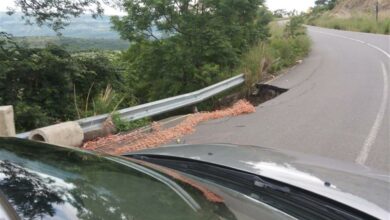 DA councillor