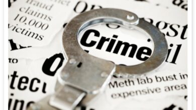 Sting operations lead to successful recovery of suspected stolen cattle