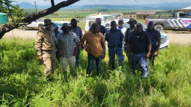 Five arrested, 87 cattle recovered in joint operations