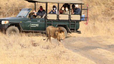 Game drive