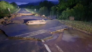 Storm wreaks havoc in Utrecht