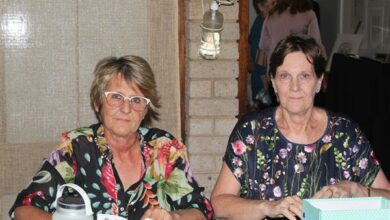 Art auction R40K SPCA