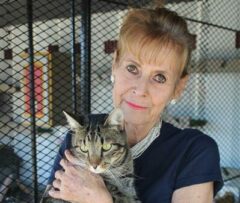 SPCA urges residents adopt