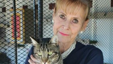 SPCA urges residents adopt