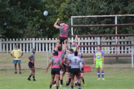 Pumas U20s Sharks Newcastle