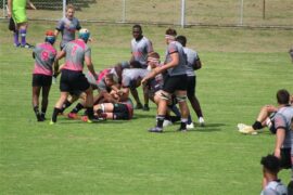Pumas U20s Sharks Newcastle