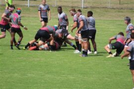 Pumas U20s Sharks Newcastle