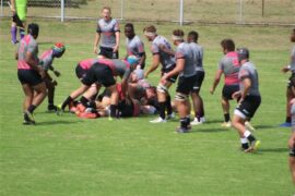 Pumas U20s Sharks Newcastle