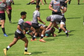 Pumas U20s Sharks Newcastle