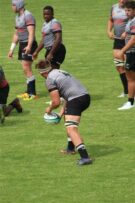 Pumas U20s Sharks Newcastle