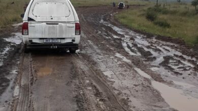 Lusitania road