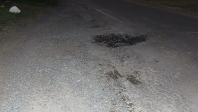 Pothole in Protea Drive