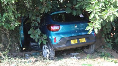 car hits tree