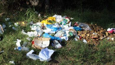 SAPS documents dumped