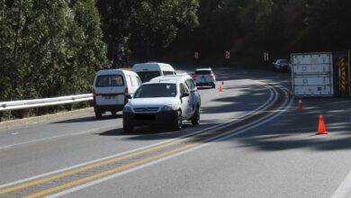van reenen crash