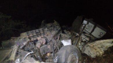 van reenen crash