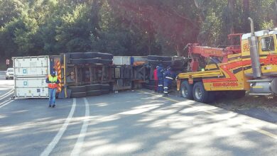Van Reenen truck crash