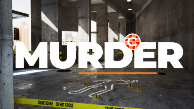 fatal stabbing