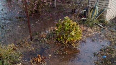limit hill burst pipe