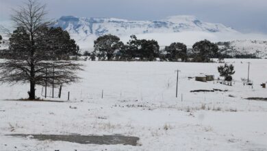 Van Reenen snow