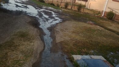 sewage floods back yard