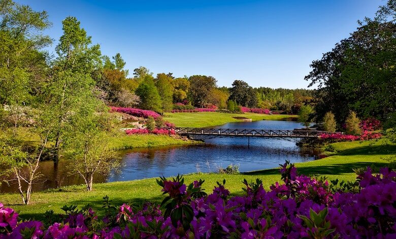 Landscaped garden