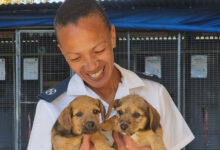 Melleney van der Westhuizen from Dundee District SPCA holding two puppies.