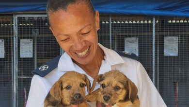 Melleney van der Westhuizen from Dundee District SPCA holding two puppies.