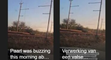 lion video false sparks SPCA investigation