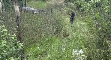 Image of machinery in thick undergrowth and men repairing a pipe line in Dundee.