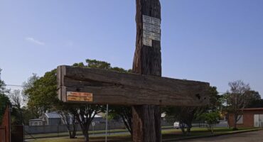 A weathered wooden cross stands in a grassy area, surrounded by plants. The sky is clear and blue, suggesting a calm and serene atmosphere.