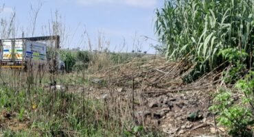 Forensics collecting the body