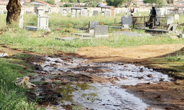 Image showing effluent leaking past and through gravesites at the Dundee cemetery.