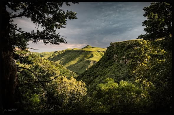 A beautiful photograph capturing the scenic view from Moorfield Farm. Seen in the photos is mountains, blue skies, and green trees.