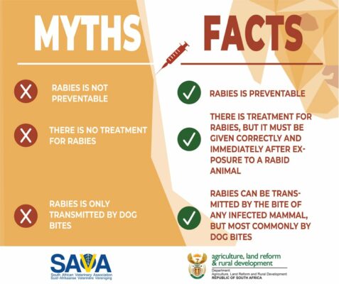 Myths and facts sheet about rabies.