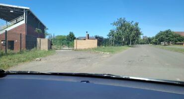 The entrance to what should be a functional Monte Vista Sports facility is overgrown with grass and untrimmed trees.