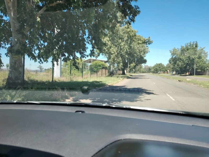 The entrance to what should be a functional Monte Vista Sports facility is overgrown with grass and untrimmed trees.