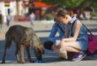 A woman and a man is pictured feeding a stray dog next to the road.