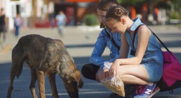 A woman and a man is pictured feeding a stray dog next to the road.
