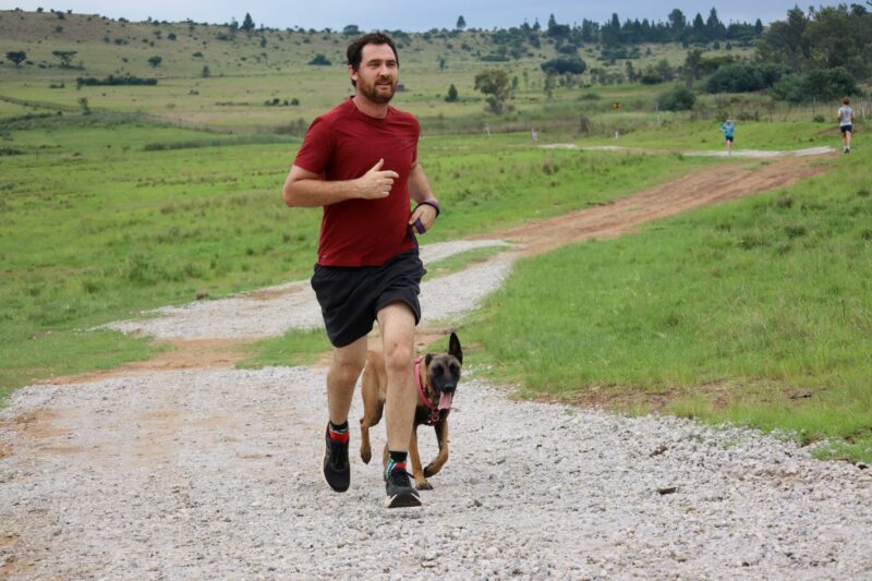 A man running with a Belgian Mellinois on a leash. The man is wearing a maroon shirt with black pants. He is running on gravel with grass on both sides.