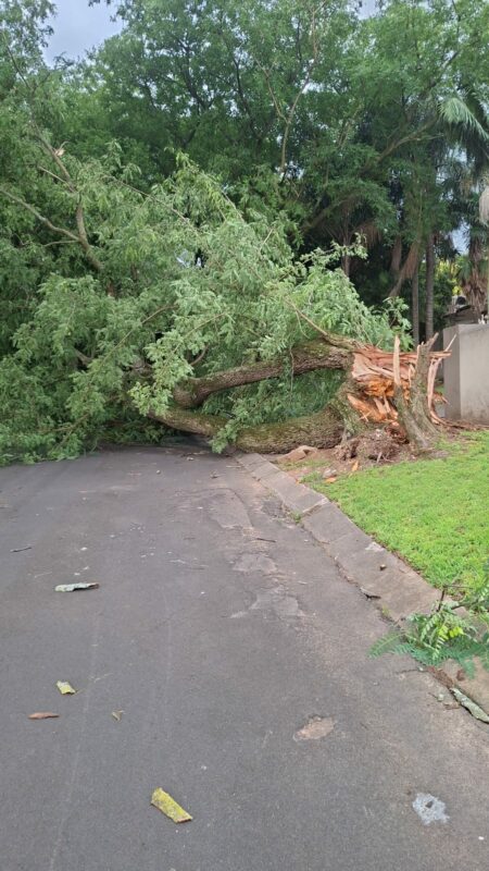 A severe weather system chatagorised by heavy rains, large hail and gale-force winds hit parts of KwaZulu-Natal yesterday.