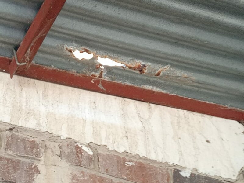 A metal roof sheeting with large holes in it is photographed at the Newcastle SPCA.